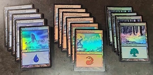 15x Snow-Covered Lands (einige Folie) - Coldsnap - NM/VG - Bild 1 von 1