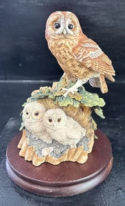 Vintage 1992 Border Fine Arts Figurine Tawny Owl & Owlets Signed Ayres RB28 - Picture 1 of 3