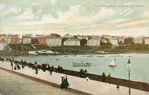 Postal The Promenade Bangor Divided C 1910 Irlanda - Imagen 1 de 2