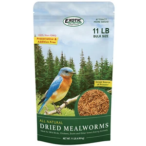 Gusanos de harina secos 11 lb. - Insectos ricos en proteínas - planeador de azúcar, pollo, pájaro salvaje - Imagen 1 de 17