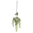 Exquisite Wisteria Hanging Flowers Silk Flowers Fake Flowers  Wall Decor
