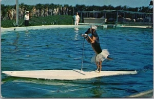 Marineland of Florida 1963 postal "Tabla de surf entrenada para perros" marsopa - Imagen 1 de 2