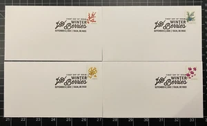 USPS First Day Of Issue Stamp 'Winter Berries' Qty 4, 2019 B&W Canceled - New - Picture 1 of 5