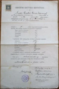 Ungarn 1913 großes Turnzeugnis, Gimnaziumi Erettsegi Bizonyitvany - Bild 1 von 1