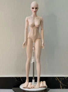 1/4 BJD Doll SD Raffine Normal Skin-Free Face Make UP+Free Eyes - Picture 1 of 10