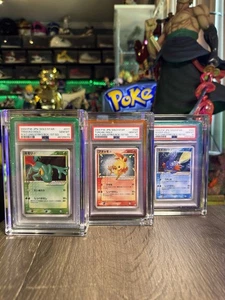 2004 Pokemon Torchic Mudkip and Treecko Gold Star PSA 10 Gem Mint Japanese TRR - Picture 1 of 3
