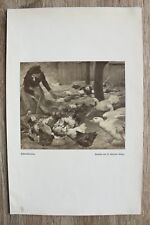 Kunstdruck 1 Blatt 1905/06 Hühner Fütterung Enten nach Gemälde R. Schramm Zittau