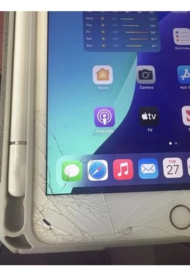 Apple iPad mini (5. Generation) A2133 64GB, Wi-Fi, 7,9 Zoll - Rosé - Bild 1 von 4