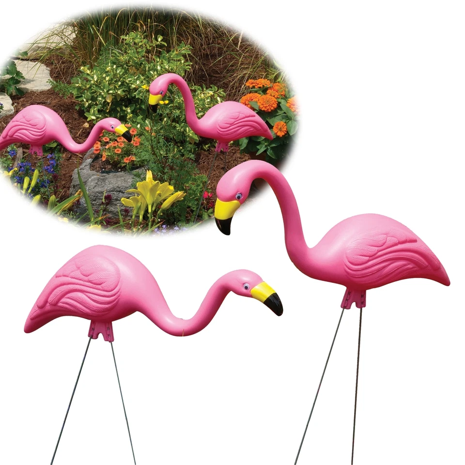 Bloem 2 Pack Pink Flamingo G2