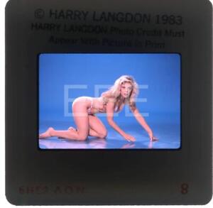 1983 bodybuilder entraînement fitness modèles Harry Langdon transparence avec droits 717Q