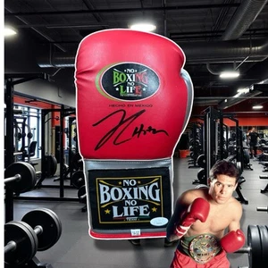Signed Julio Cesar Chavez Glove (JSA CERT) - Picture 1 of 2