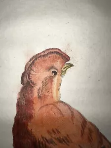 1766-1804 Schouman Vosmaer Incisione su piastra in rame colorata a mano Cock Of The Walk - Foto 1 di 2