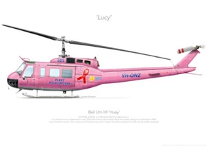 Bell UH-1H VH-ONZ Lucy - A3+ Profile Print - Imagen 1 de 4