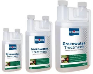 Bermuda Greenwater Pond Algae Treatment Clears Cloudy Green Water - Picture 1 of 4