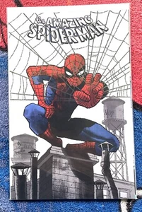 The Amazing Spider-Man v. 7 - #1 Chiarello Foil Variant - 6-10 Direct Edition NM - Bild 1 von 2