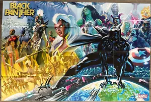 Black Panther Promo Poster - 24x36 - gefaltet - Marvel Comics - Einzelhändler exklusiv - Bild 1 von 1