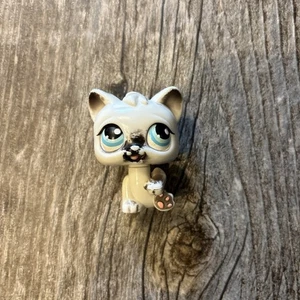 Littlest Pet Shop Magic Motion 2005 gato gatito siamés #180 ojos azules LPS  - Imagen 1 de 3