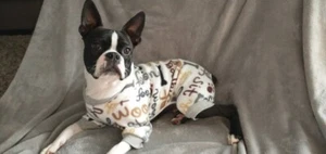 FLEECE DOG PAJAMAS, CLOTHING SIZE MEDIUM NWOT - Picture 1 of 4