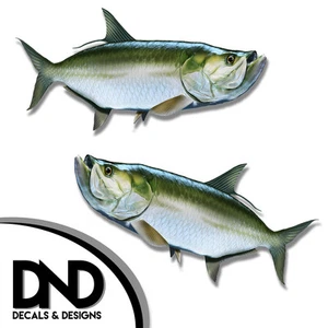 Tarpon - Fish Decal Fishing Tackle Box Bumper Sticker "3in SET" F-0830 D& - Bild 1 von 1