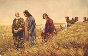 AL4-237) CARTOLINA WHELE ED ESSI LO SEGUIVANO MONACO GESU' - Picture 1 of 2