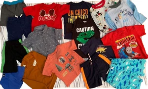 Lot 16 pcs boy 4 y crewcuts swim pants shorts t-shirts pjs shirt sweatshirt B1 - Picture 1 of 11
