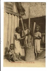CPA-Cartes Postale-Madagascar Pileuses de Riz  VM9582 - Picture 1 of 2