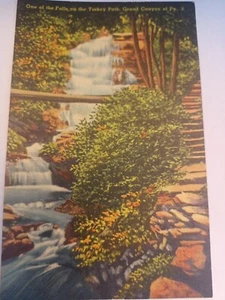 Postal A1 Falls On The Turkey Path Grand Canyon PA - Imagen 1 de 2