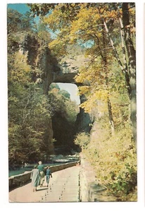 Natürliche Brücke aus dem Pavillon 7. Weltwunder Virginia Postkarte VA 1956 - Bild 1 von 2