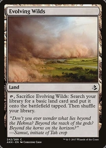 [MTG] Evolving Wilds (242) (AKH) NM - Picture 1 of 1