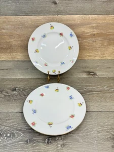 CROWN STAFFORDSHIRE Floral Bouquet 8 1/4" Salad Plate Set of 2 - Picture 1 of 5