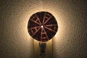 ALFONSO URCHIN SEA SHELL NIGHT LIGHT KITCHEN BATHROOM - Picture 1 of 3