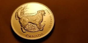 Canada 1997 50 Cent Gem Proof Silver Coin Nova Scotia Duck Retriever Dog Idrs1 - Bild 1 von 2