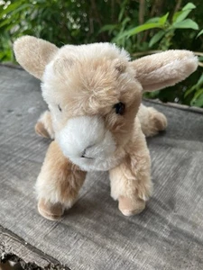 Douglas Dandie Mini Ziege Stofftier Plüschtier Baby Ziege Bauernhoftier Kuscheltiere 6 Zoll - Bild 1 von 8