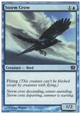 Magic the Gathering MTG Storm Crow (100) Ninth Edition   NM