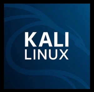 Kali Linux 2025 32 GB PNY USB - Ethical Hacking - Cybersecurity - Pen Test Tools - Picture 1 of 1