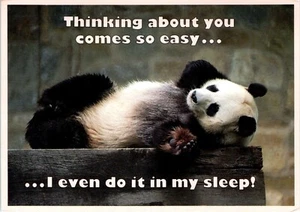 Ich denke an dich, Pandabär Postkarte - Bild 1 von 2