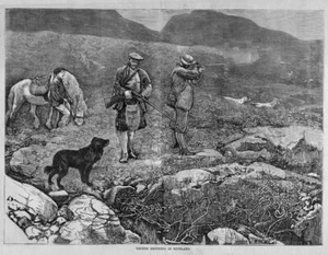 HUNTING, GROUSE SHOOTING IN SCOTLAND, GAME BIRDS HUNT - Picture 1 of 1