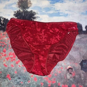 Vintage 90's Cacique Second Skin Shiny Satin High Leg Brief Panty 14/16 - Picture 1 of 11
