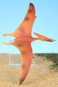 CollectA Pterodactyl Pteranodon Flying Dinosaur Prehistoric Toy Figurine