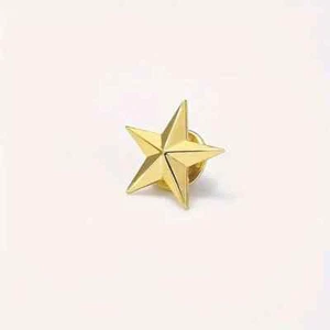 Star Badge Lapel Pins Military Gold Star Brooches for Veterans Day Memorial Day - Picture 1 of 4