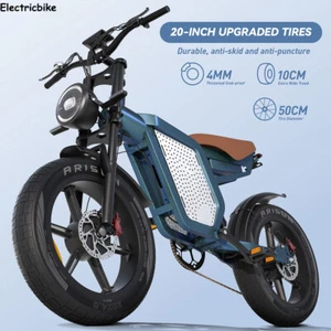150kg Capacity E-Bike Dual Motor 60km Range 20"x4.0 fat tire MTB Electric Bike - Picture 1 of 11