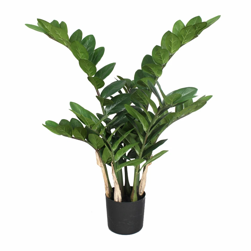 Zamifolia 70cm Im Topf Kunstpflanze (994929975824)