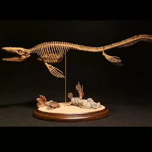 Jushi Studio Mosasaurus Skelett Modell Limited Ver. Dinosaurier Statue Neu Auf Lager - Bild 1 von 22