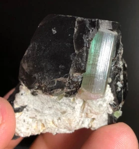 Very Nice Quality Tourmaline Crystal Specimen with Quartz Afgha 87 Grams - Picture 1 of 6