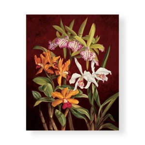 Stampa su Tela su Carta Poster o Quadro Jimenez Rodolfo Orchid Trio II - Imagen 1 de 2