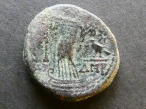 T7.11. Roman Provincial, Titus, Judaea, Ascalon, AE22. - Picture 1 of 2