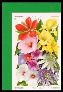 US 4753b La Florida imperf NDC corner block 4 UL MNH 2013 - Picture 1 of 1