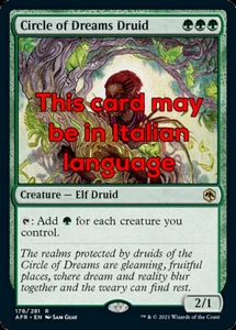 MTG CIRCLE OF DREAMS DRUID EXC - DRUIDO DEL CIRCOLO DEI SOGNI - AFR - MAGIC - Foto 1 di 1