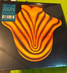 BIG RED MACHINE - Self Titled VINYL LP 2018 Jagjaguwar New Sealed - Bild 1 von 3