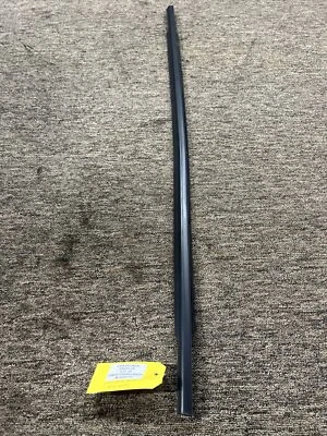 Puerta trasera para conductor Santa Fe 2007-2012 tira climática exterior cinturón moldeado Sb Foto 1 de 3